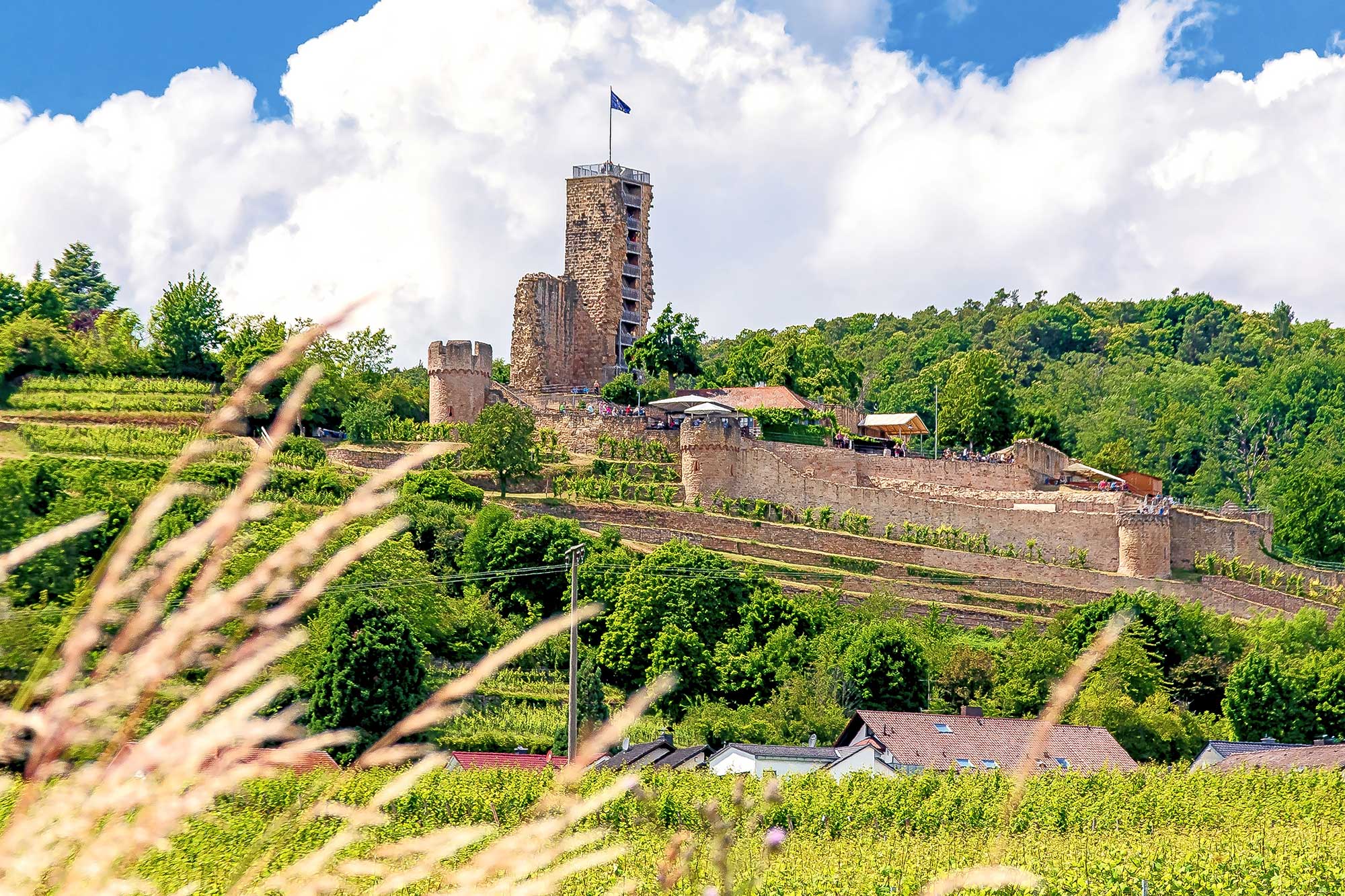 Hiking tour Wachenheim © Shutterstock