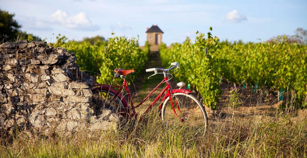 Cycling / © Shutterstock