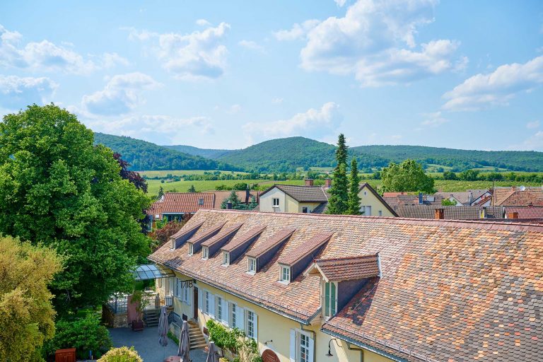 Ausblick aus dem Fenster der Juniorsuite "Himmelsglück" auf die umgebenden Weinberge und den Pfälzer Wald